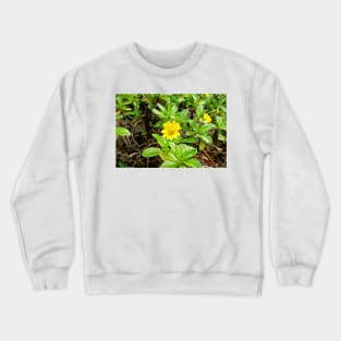 Iao Valley State Monument Study 14 Crewneck Sweatshirt